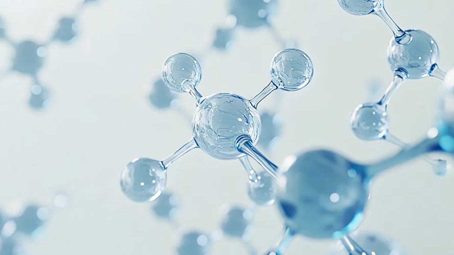 苗丝汇生物